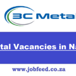 3C Metal Vacancies