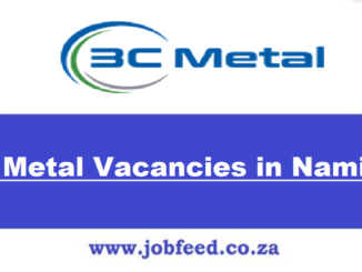 3C Metal Vacancies