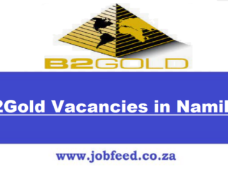 B2Gold Vacancies