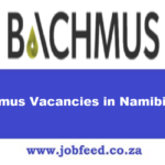 Bachmus Vacancies