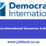 Democracy International Vacancies