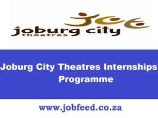 Joburg City Theatres Internships Programme