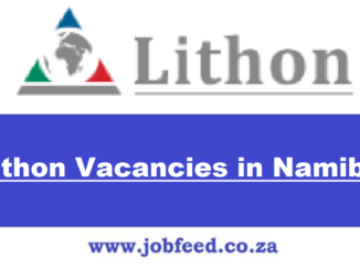 Lithon Vacancies