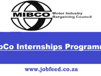 MibCo Internships Programme