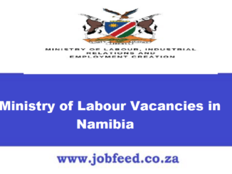 Ministry of Labour Vacancies