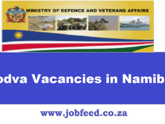 Modva Vacancies