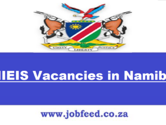 NIEIS Vacancies