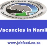 NNF Vacancies