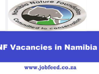 NNF Vacancies