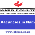 NPI Vacancies