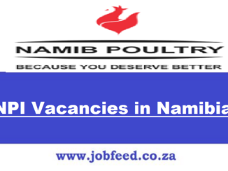 NPI Vacancies