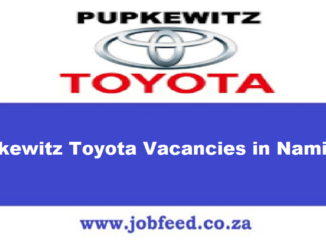 Pupkewitz Toyota Vacancies