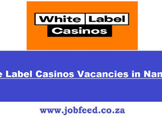 White Label Casinos Vacancies