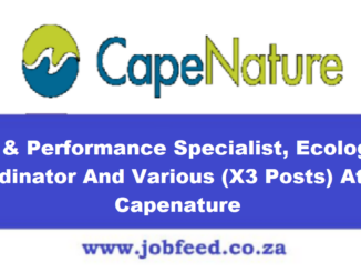 Capenature Vacancies