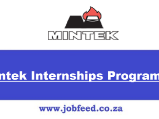 Mintek Internships Programme