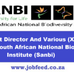 Sanbi Vacancies