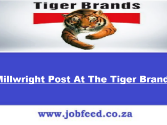 Tiger Brands Vacancies