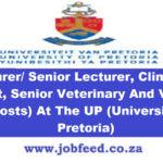 University of Pretoria Vacancies