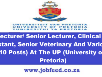 University of Pretoria Vacancies