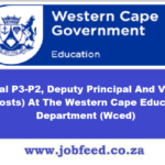 Wced Vacancies