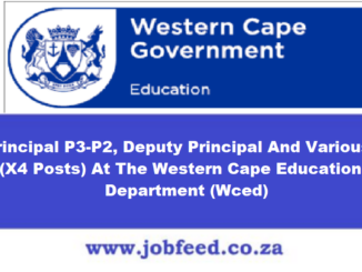 Wced Vacancies