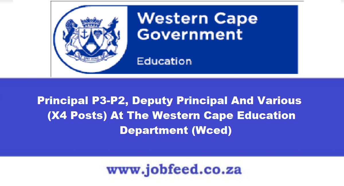 Wced Vacancies 2024 X4 Posts » Jobfeed