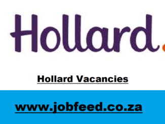 Hollard Vacancies