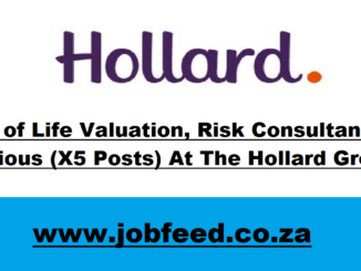 Hollard Vacancies