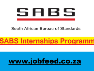 SABS Internships Programme