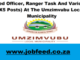 Umzimvubu Local Municipality Vacancies