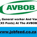 AVBOB Vacancies