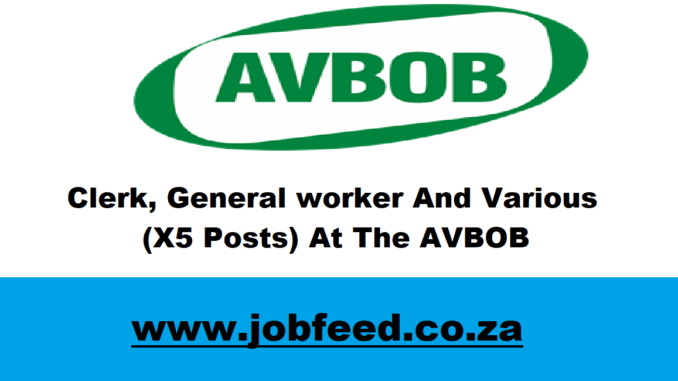 AVBOB Vacancies