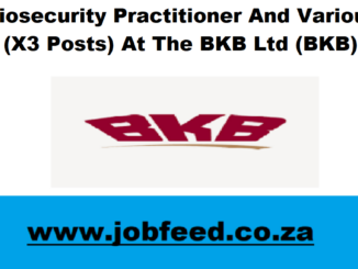 BKB Vacancies