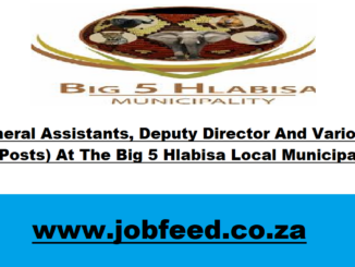 Big 5 Hlabisa Local Municipality Vacancies