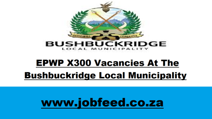 Bushbuckridge Local Municipality Vacancies