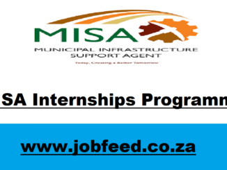 MISA Internships Programme