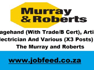 Murray and Roberts Vacancies