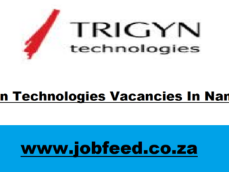 Trigyn Technologies Vacancies