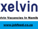 Xelvin Vacancies