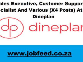 Dineplan Vacancies