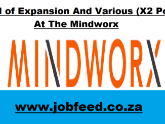 Mindworx Consulting Vacancies