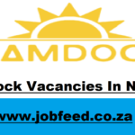 Namdock Vacancies