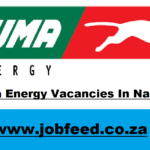 Puma Energy Vacancies In Namibia