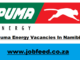 Puma Energy Vacancies In Namibia