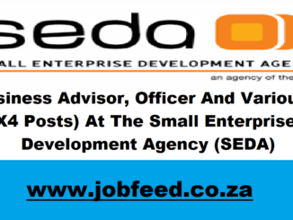 SEDA Vacancies