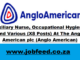 Anglo American Vacancies