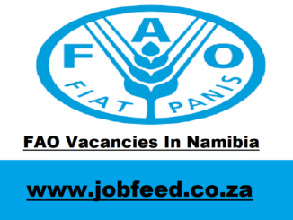 FAO Vacancies In Namibia