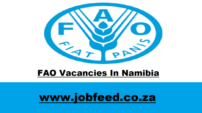 FAO Vacancies In Namibia