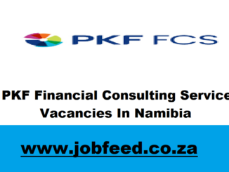 PKF Financial Consulting Services Vacancies In Namibia