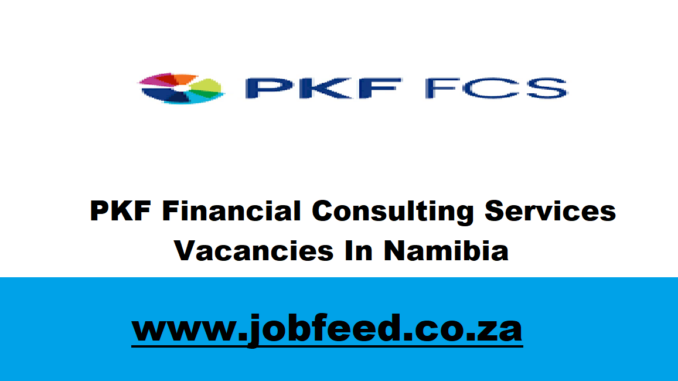 PKF Financial Consulting Services Vacancies In Namibia